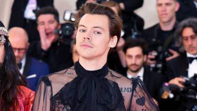 Harry Styles’ Tattoos Their Meanings: A Guide To All Of His Ink - hollywoodlife.com - Britain - USA