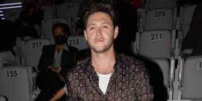Niall Horan Got 'Extremely Ill' on a Flight - www.justjared.com - Britain