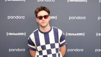 Niall Horan Thanks Flight Staff For Caring For Him After Becoming ‘Extremely Ill’ - etcanada.com - Britain