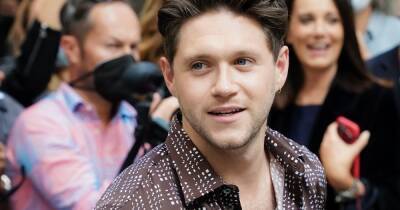 Niall Horan - Ryan Tubridy - Niall Horan pulls out of TV appearance after falling 'extremely ill' on flight - ok.co.uk - Britain - Los Angeles - Ireland