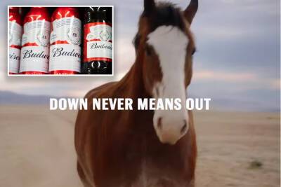 Budweiser Super Bowl 2022 commercial shows comeback of wounded Clydesdale - nypost.com - USA