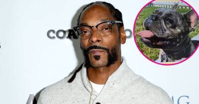 Snoop Dogg Gets Emotional After Missing Bulldog Is Found Safe: ‘We Appreciate That’ - www.usmagazine.com - France - California