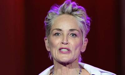 Sharon Stone shares new devastating photo following the loss of her beloved pet dog - hellomagazine.com - county Stone