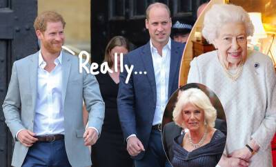 Prince William & Prince Harry Were ‘Blindsided’ By Queen Elizabeth’s Decision On Camilla’s Future Queen Consort Title - perezhilton.com