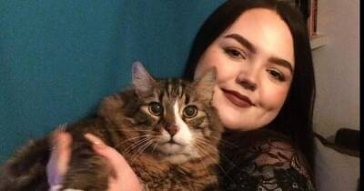 Scots fat cat who burgled homes to steal food sheds weight after rescue - www.dailyrecord.co.uk - Britain - Scotland - Beyond