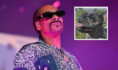 Snoop Dogg gets emotional after reuniting with his missing dog Frank: ‘We appreciate all the love’ - us.hola.com - France - Los Angeles - Los Angeles