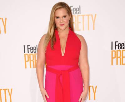 Amy Schumer Opens Up About Constantly Feeling 'Guilt' & 'Vulnerability’ As A Mom In Relatable AF Post - perezhilton.com - France