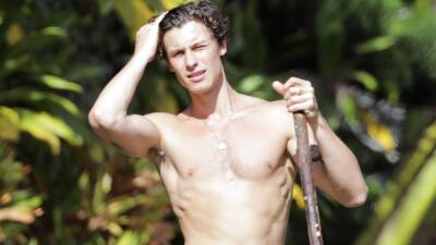 Shawn Mendes shows off physique during shirtless Hawaii stroll - www.foxnews.com - Hawaii