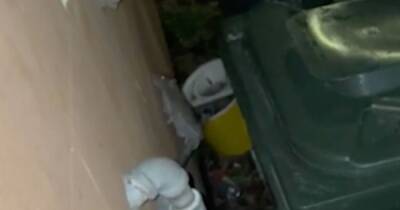 Scots flats completely overrun by ‘pipe-climbing rats’ that block bins, says horrified carer - dailyrecord.co.uk - Scotland - city Edinburgh