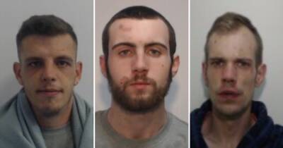 Peter Wright - Violent trio jailed for terrifying brawl involving saw and table leg on 'busy street' - manchestereveningnews.co.uk - county Andrew - county Williamson