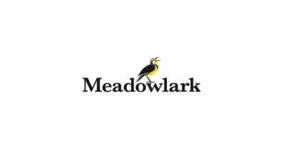 John Skipper’s Meadowlark Strikes Partnership With Backstage Media - deadline.com - USA