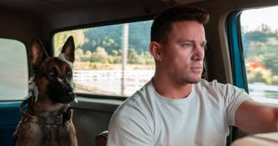 Does the Dog Die in Channing Tatum’s New Movie? Actor Spoils Ending Intentionally: ‘A Good Ending’ - www.usmagazine.com - USA - Alabama - Belgium