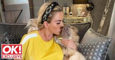 Katie Price hits back at trolls, saying pets fill the 'void' left when kids aren't around - www.ok.co.uk