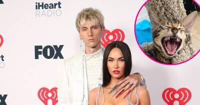 Megan Fox and Machine Gun Kelly Add a Kitten to Their Family: ‘Welcome Whiskey to the Gang’ - www.usmagazine.com