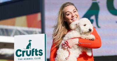 Crufts 2022: Tickets, times and how to watch the world's greatest dog show - www.dailyrecord.co.uk - Birmingham