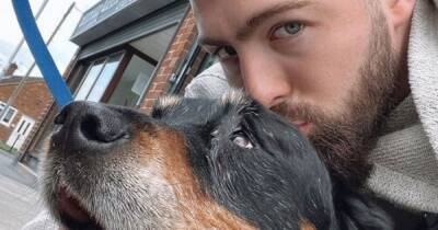Gogglebox's Tom Malone Jr heartbroken as beloved family dog Lucy dies - www.ok.co.uk