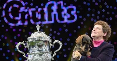 How to watch Crufts 2022, show times and how to get tickets - www.manchestereveningnews.co.uk - Manchester - Birmingham - Hungary