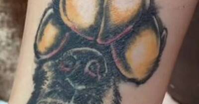 Woman horrified after £95 tattoo tribute to beloved dog turns out hideous - www.dailyrecord.co.uk - Scotland - USA - Ohio