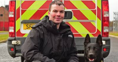 Hero Scots police dog left with titanium tooth after snaring vile thug retires - www.dailyrecord.co.uk - Scotland - Belgium