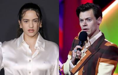 Rosalía recalls time Harry Styles texted a stranger thinking it was her - www.nme.com - Britain - Spain