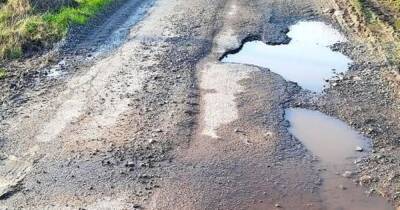 Dumfries and Galloway councillor claims frustrated locals have been fixing potholes themselves - www.dailyrecord.co.uk
