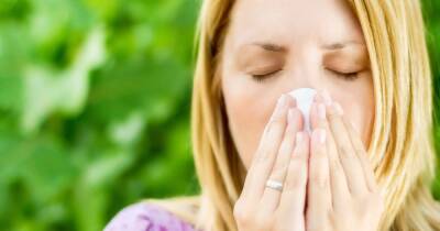 Hay fever season in Scotland and when it begins - www.dailyrecord.co.uk - Britain - Scotland