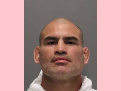 UFC Star Cain Velasquez’s Shooting Target Allegedly Molested A Family Member -- New Details Emerge - perezhilton.com - California - county Santa Clara - city San Jose