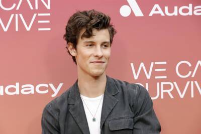Shawn Mendes Talks Being ‘On My Own’ After Break-Up From Camila Cabello - etcanada.com