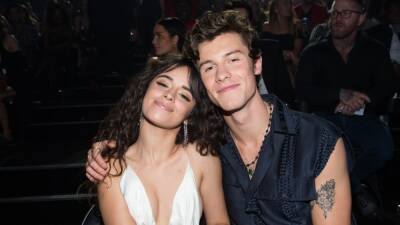 Shawn Mendes Revealed What He Hates About Life Post-Breakup With Camila Cabello - www.glamour.com