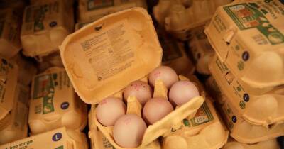 All major supermarkets in UK to stop selling free-range eggs from today - www.dailyrecord.co.uk - Britain