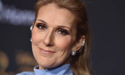 Celine Dion shares powerful statement in throwback video - hellomagazine.com