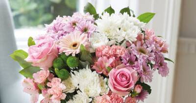 Aldi launches Mother's Day floral range from £1.99 - here are our top five picks - www.dailyrecord.co.uk - Germany