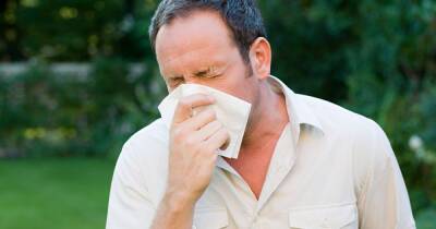 How to tell difference between hay fever and Covid as warm weather sparks surge in symptoms - www.dailyrecord.co.uk - Scotland