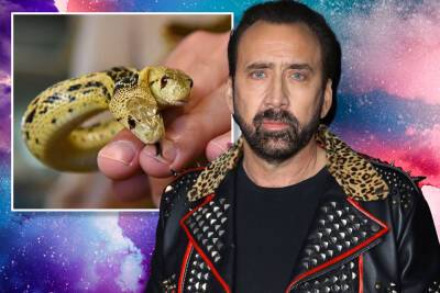 Nicolas Cage - Edgar Allan Poe - Inside Nicolas Cage’s wild animal menagerie—including a two-headed snake - nypost.com - Los Angeles - Las Vegas - New Orleans - state Maine