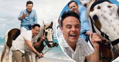 Ant McPartlin and Declan Donnelly pose for a snap with a real horse - www.msn.com - France