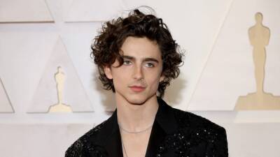 Timothée Chalamet Went Shirtless on the Oscars Red Carpet - www.glamour.com - Hollywood - county Highland