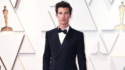 Shawn Mendes Flies Solo At His First Oscars After Camila Cabello Split: See Photos - hollywoodlife.com - Miami - Hawaii