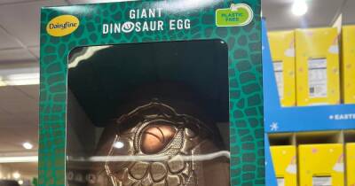 The 'fab' £10 dinosaur Easter egg Aldi shoppers are obsessed with - www.dailyrecord.co.uk - Britain - Belgium