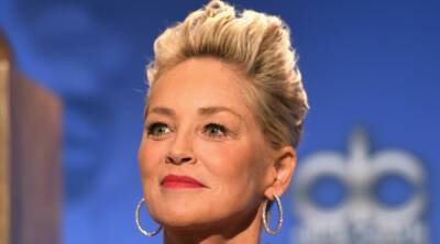 Sharon Stone to Play Brand New Villain (With a Familiar Last Name) in DC's 'Blue Beetle' - www.justjared.com - county Stone