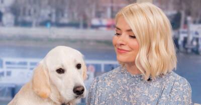 Every outfit Holly Willoughby wore on This Morning this week - and where to buy - www.manchestereveningnews.co.uk - county Woods