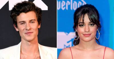Shawn Mendes Adorably Cuddles With His Dog After Camila Cabello’s Split Comments - www.usmagazine.com - Canada
