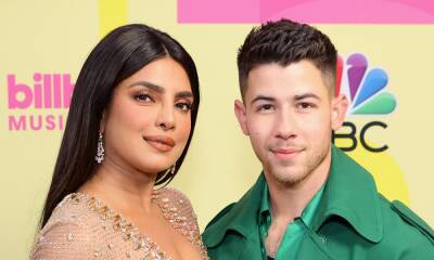 Priyanka Chopra shares insight into family life with adorable video of her dogs - hellomagazine.com