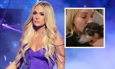 Carrie Underwood in tears after receiving emotional tribute for her late dog - us.hola.com - Oklahoma