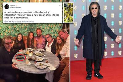 Al Pacino’s Shrek phone case has Twitter in a tizzy: ‘It changed my life’ - nypost.com