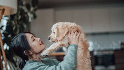 How to Spend Less On Your Pets—While Still Totally Spoiling Them - www.glamour.com
