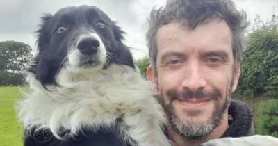 Sheepdog's hilarious reactions to his favourite and hated commands - www.dailyrecord.co.uk