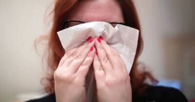 Hay fever warning as pollen count high in Greater Manchester today - www.manchestereveningnews.co.uk - Britain - Manchester