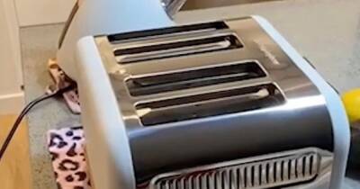 Woman shares 'hidden compartment' in toaster and people are stunned by its existence - www.dailyrecord.co.uk