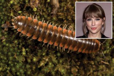 Taylor Swift latest addition to all-star cast of creepy crawling critters - nypost.com - USA - Virginia