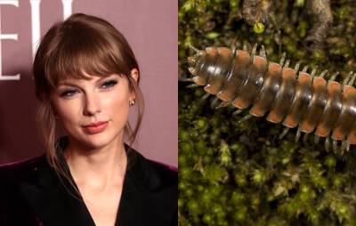 Taylor Swift - James Hetfield - Scientists name new species of millipede after Taylor Swift - nme.com - USA - county Swift - Virginia - Tennessee